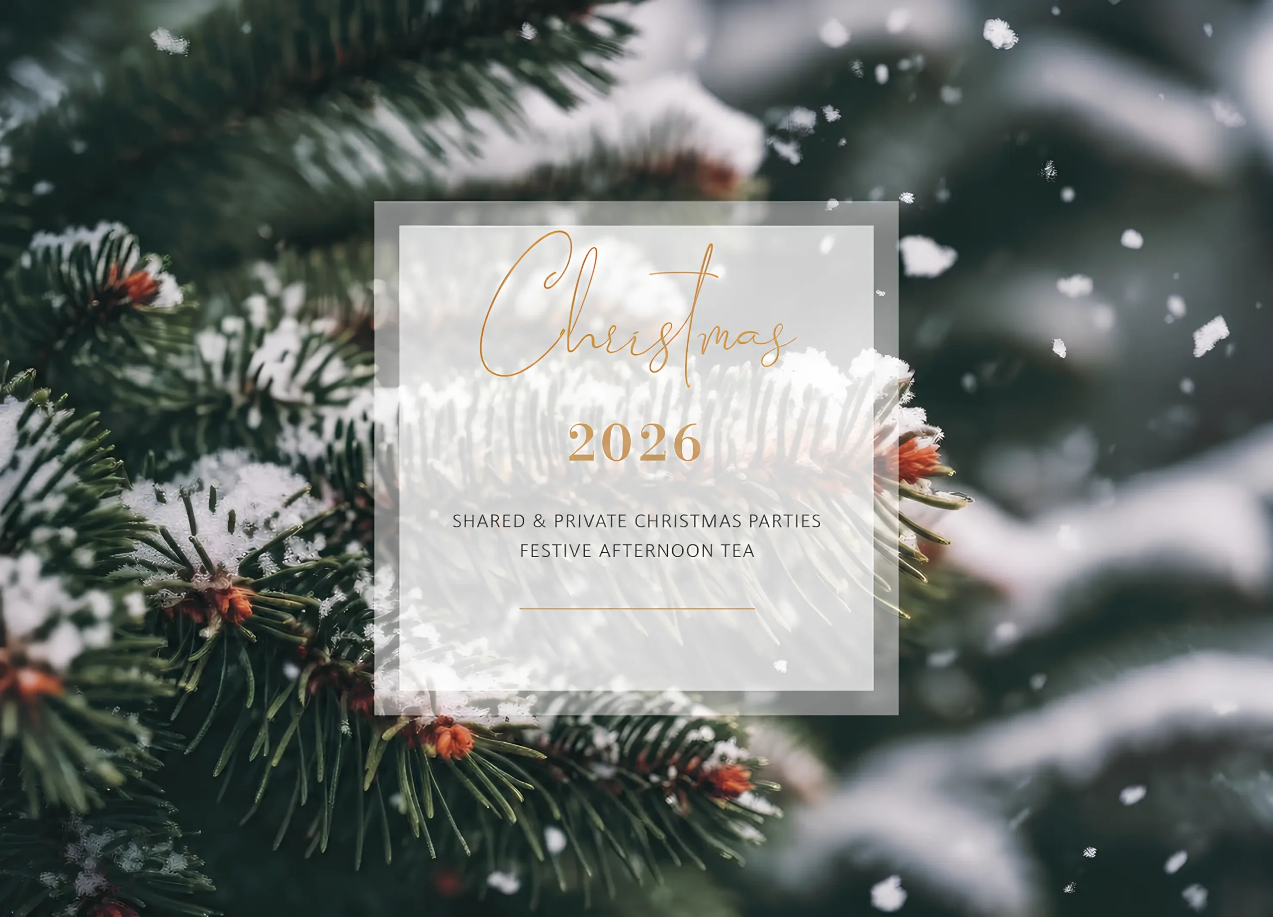 Christmas 2026 Banner